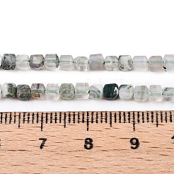 Natural Moss Agate Beads Strands&nbsp;G-T138-211K