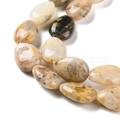 Natural Crazy Lace Agate Beads Strands&nbsp;G-K357-A03-01