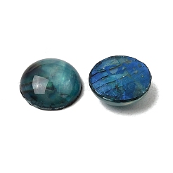 Abalone Shell/Paua Shell Cabochons&nbsp;SSHEL-K003-8MM