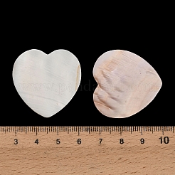Natural Freshwater Shell Cabochons&nbsp;SHEL-C010-10B