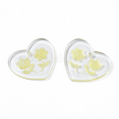 Transparent Resin Pendants&nbsp;RESI-N030-001D