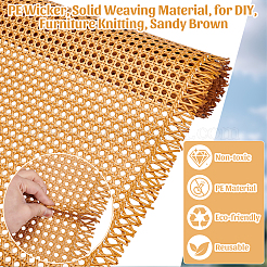 PE Wicker&nbsp;AJEW-WH0410-272B-01