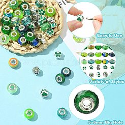 50Pcs Resin European Beads&nbsp;RESI-CJC0050-01A