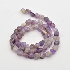 Natural Lavender Amethyst Bead Strands&nbsp;G-P070-15