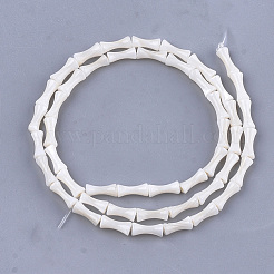 Freshwater Shell Beads Strands&nbsp;SHEL-T012-48