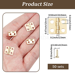 50 Bags Iron Hinges&nbsp;FIND-GF0009-81G