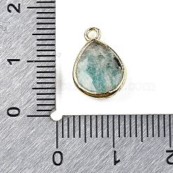 天然アマゾナイトのファセットペンダント  ラックメッキ金メッキ真鍮ティアドロップチャーム  14x9.5x4mm  穴：1.4mm&nbsp;G-U019-05G-02