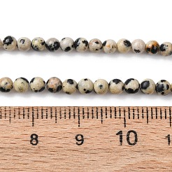 天然石ダルメシアンジャスパービーズ連売り  ラウンド  3~3.5mm  穴：0.7mm  約57~64個/連  7.48''~7.68''（19~19.5センチメートル）&nbsp;LS-G-Z116-A10-3mm