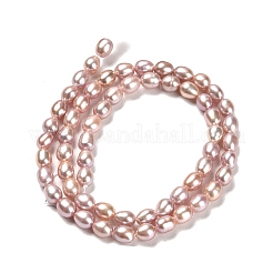Natural Cultured Freshwater Pearl Beads Strands&nbsp;PEAR-E016-165