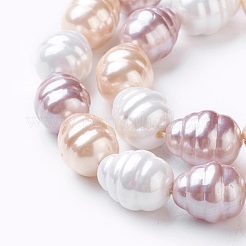電気メッキシェルパールビーズ連売り  ポテト  ミックスカラー  15~16.5x12~12.5mm  穴：0.8mm  約26個/連  15.7インチ〜16.1インチ（40~41cm）&nbsp;BSHE-O019-02C