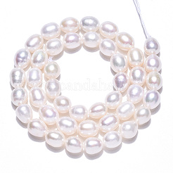 天然養殖淡水パールビーズ連売り  ライス  貝殻色  7~9x6.5~7.5mm  穴：0.7~0.8mm  約43~44個/連  14.37インチ（36.5cm）&nbsp;LS-PEAR-N012-07K