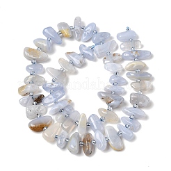 Natural Blue Lace Agate Beads Strands&nbsp;G-L649-A02-01