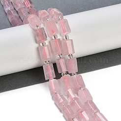 Natural Rose Quartz Beads Strands&nbsp;G-G162-D02-01