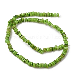 Dyed Natural Freshwater Shell Beads Strands&nbsp;SH-CBA2978-04B
