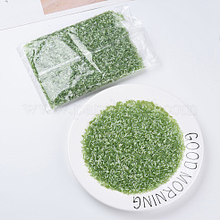 透明色光沢ガラスラッパビーズ  丸い穴  ミディアムシーグリーン  3~8x2mm  穴：0.7mm  約450g /ポンド&nbsp;SEED-N005-001-A01