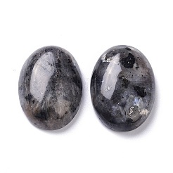 Natural Black Larvikite Cabochons&nbsp;X-G-Z020-10