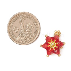 ガラスチャーム  星のチャーム  シードビーズと合金入り  多面カット  レッド  22x17.5x8.5mm  穴：2mm&nbsp;PALLOY-MZ01209-02