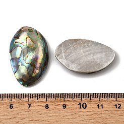 天然パウアシェルカボション  オーバル  カラフル  30~39x18~23x5~7.5mm&nbsp;SSHEL-S280-01B