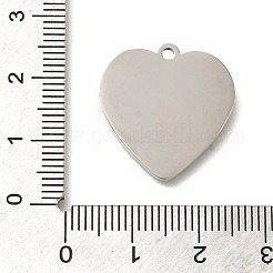 Anti-Tarnish 304 Stainless Steel Pendants&nbsp;LS-STAS-R131-14P
