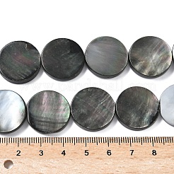 天然ブラックリップシェルビーズ連売り  フラットラウンド  20x4mm  穴：1.2mm  約20個/連  15.67''（39.8センチメートル）&nbsp;BSHE-D300-05-20mm
