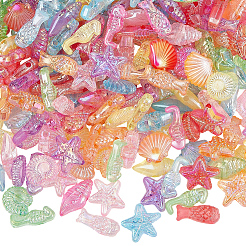 500Pcs Transparent Acrylic Beads&nbsp;OACR-SP0002-28