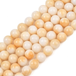 Dyed Natural White Jade Beads Strands&nbsp;GG-CBAD029-A01-10mm