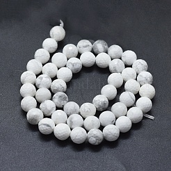 Natural Howlite Beads Strands&nbsp;G-D0013-65