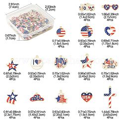 60個 15スタイル 独立記念日 合金エナメルパンダント  ゴールドカラー  混合図形  14~36.5x10~26x1~1.5mm  穴：1.6~2mm  4個/スタイル&nbsp;FIND-FS0004-41