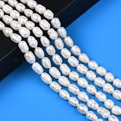 天然養殖淡水パールビーズ連売り  ライス  貝殻色  8.5~12x6.5~7.5mm  穴：0.8mm  約32~39個/連  13.82インチ〜14.37インチ（35.1cm〜36.5cm）&nbsp;PEAR-N012-07A