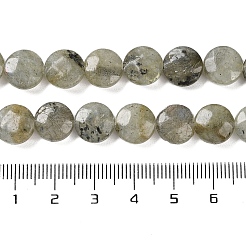 天然石ラブラドライトビーズ連売り  ファセットコインビーズ  フラットラウンド  10~10.5x4.5~5.5mm  穴：1.2mm  約20個/連  7.80インチ（19.8cm）&nbsp;G-K357-B03-01