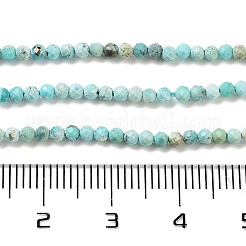 Natural HuBei Turquoise Beads Strands&nbsp;G-G792-38-01