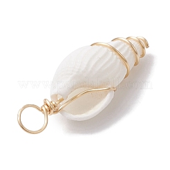 Natural Trumpet Shell Copper Wire Wrapped Pendants&nbsp;PALLOY-JF02683-01