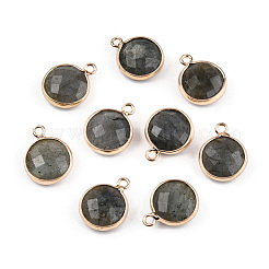 Natural Labradorite Charms&nbsp;G-Q998-026E