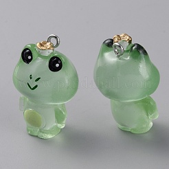 Luminous Transparent Resin Pendants&nbsp;LS-RESI-SZC0004-17A