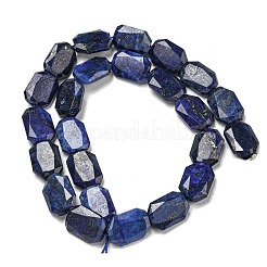 天然石ラピスラズリビーズ連売り  染め  六角  多面カット  12x17x5mm  穴：1mm  約24個/連  15.55''（39.5センチメートル）&nbsp;G-P544-B10-01