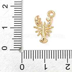 Alloy Pendants&nbsp;FIND-Z101-04G-01
