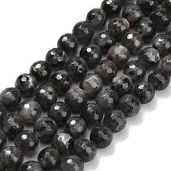 Natural Larvikite Beads Strands&nbsp;G-C280-B06-8mm