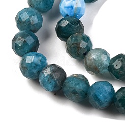 Natural Apatite Beads Strands&nbsp;G-F770-C02-02