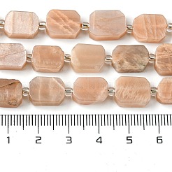 Natural Sunstone Beads Strands&nbsp;G-C098-A12-01
