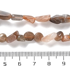 Natural Black Sunstone Beads Strands&nbsp;G-P497-01C-16