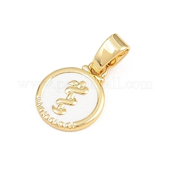 Brass Charms&nbsp;KK-E798-01D-G