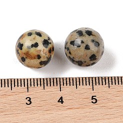 天然ダルメシアンジャスパー 穴なし球形ビーズ  ラウンド  12mm&nbsp;G-K353-04B-16