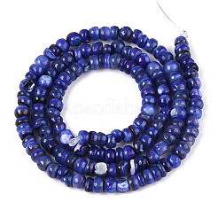 Natural Freshwater Shell Dyed Beads Strands&nbsp;SHEL-T020-29A-10