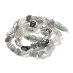 Natural Eagle Eye Stone Beads Strands&nbsp;G-P497-01C-14