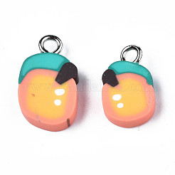 Handmade Polymer Clay Charms&nbsp;CLAY-S096-019