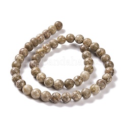 Natural Maifanite/Maifan Stone Beads Strands&nbsp;G-I187-6mm-01