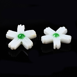 Natural Freshwater Shell Beads&nbsp;SHEL-N003-19C
