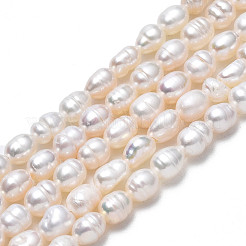 天然養殖淡水パールビーズ連売り  ライス  貝殻色  3.5~5x3.5~4.5mm  穴：0.6mm  約55~61個/連  13.70インチ〜13.78インチ（34.8cm〜35cm）&nbsp;PEAR-N012-03B