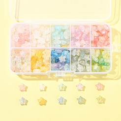 300Pcs 10 Colors Frosted Acrylic Charms&nbsp;OACR-FS0004-09