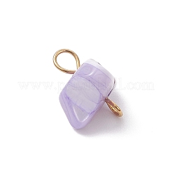 Dyed Natural Trochid Shell Connector Charms&nbsp;PALLOY-JF04585